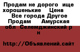 Продам не дорого ,ище хорошенькие  › Цена ­ 100 - Все города Другое » Продам   . Амурская обл.,Селемджинский р-н